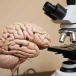 maladie à corps de lewy : symptômes et diagnostic